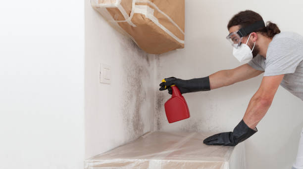 Professional Mold Remediation technician working in Brightwaters, NY
